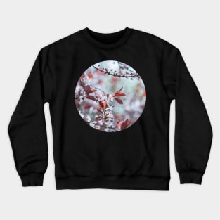 Sakura Cherry Blossom Circle Sticker Crewneck Sweatshirt